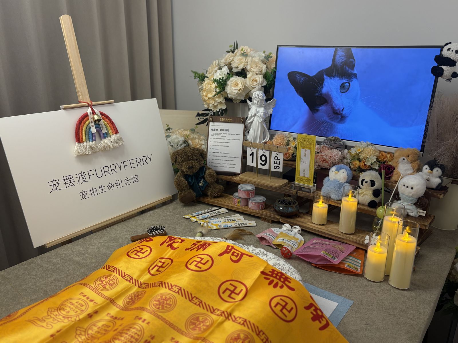 宠物告别纪念仪式